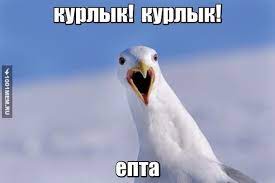 Она улетела. Итальянская жизнь семьи Терешковой