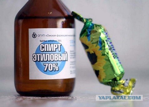 Сочетание сыров с винами