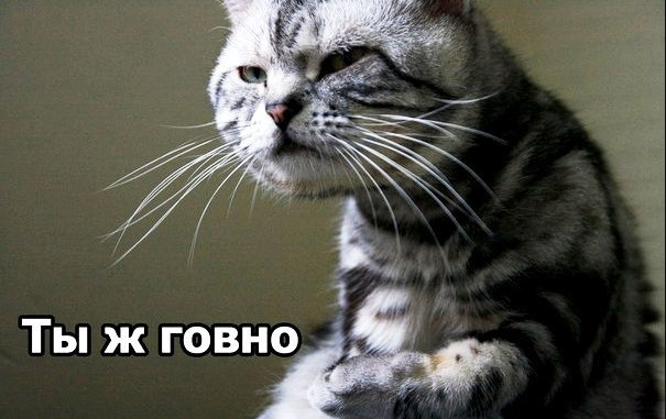 В Госдуме высказались против пособий для безработных
