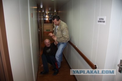 Похождения падонков