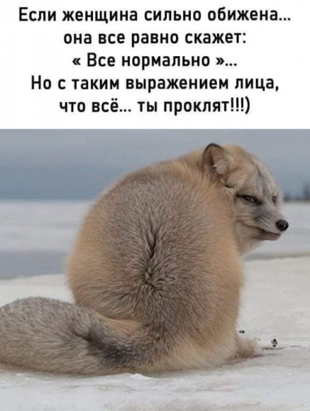 Пятница. Вечер. Картинки всякие... #2