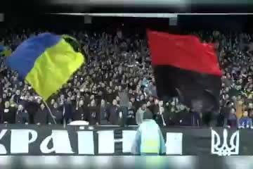 "Вот двор, через который мы ходили. Просто поле боя"