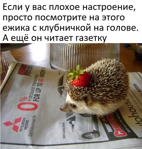 Картинки и мемы для настроения - 27
