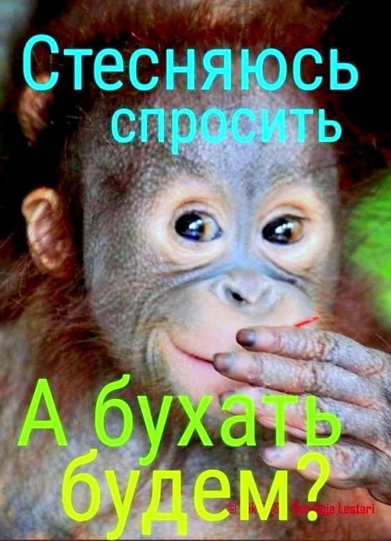 Прикольные и просто красивые картинки 09.12.2022