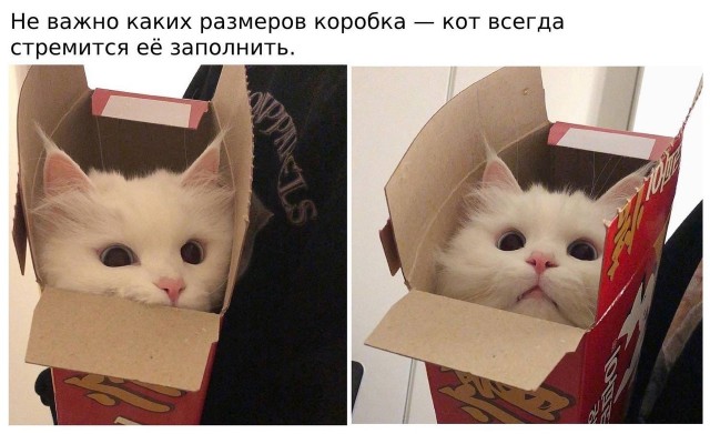 Немного картинок для настроения - 133