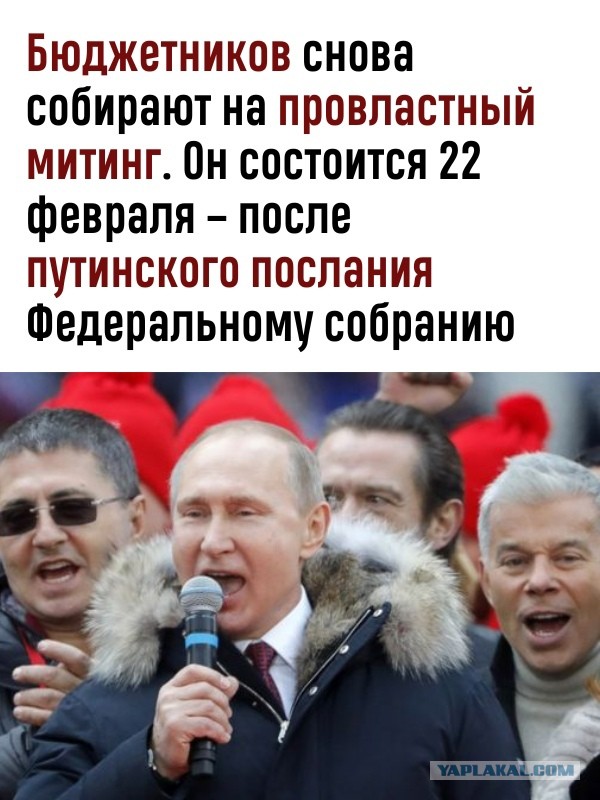 Победная поступь идиотизма по планете – том 8