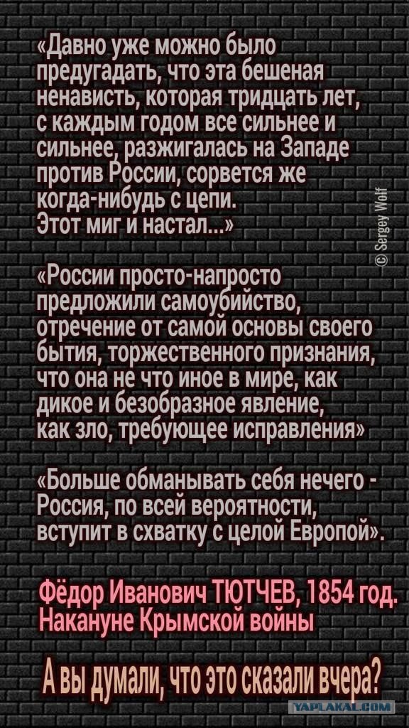 Победная поступь идиотизма по планете – том 9