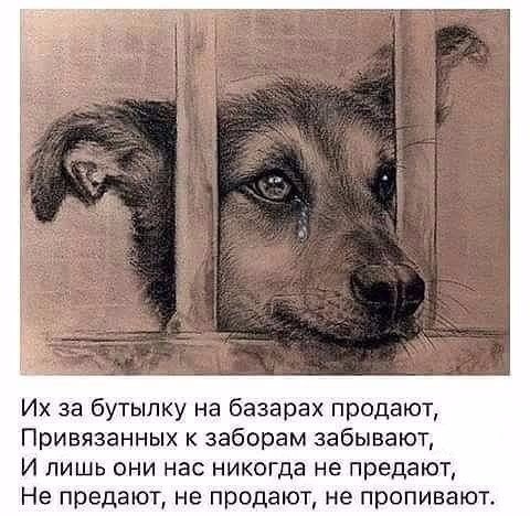 Материнская любовь