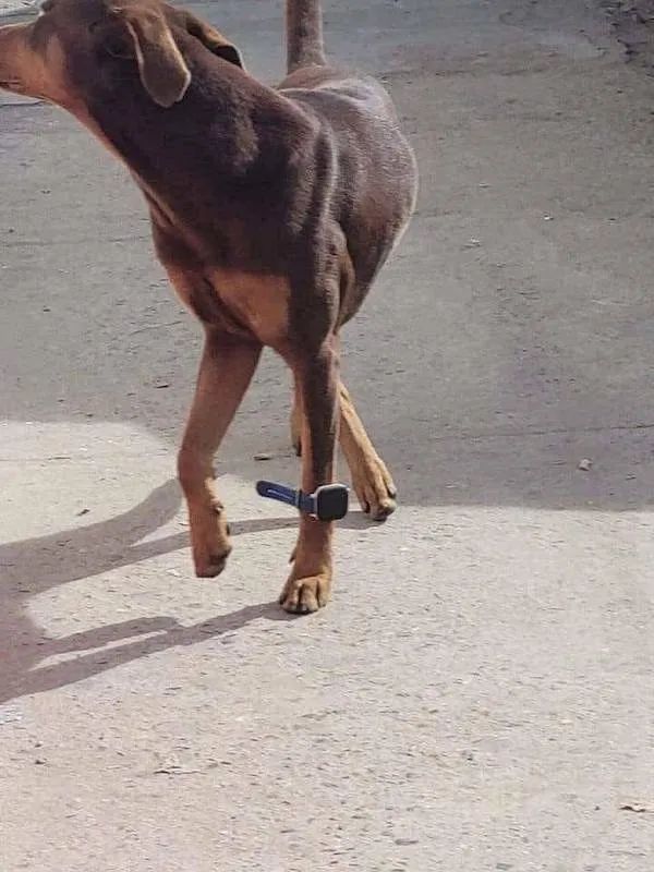 ФотоВинегрет