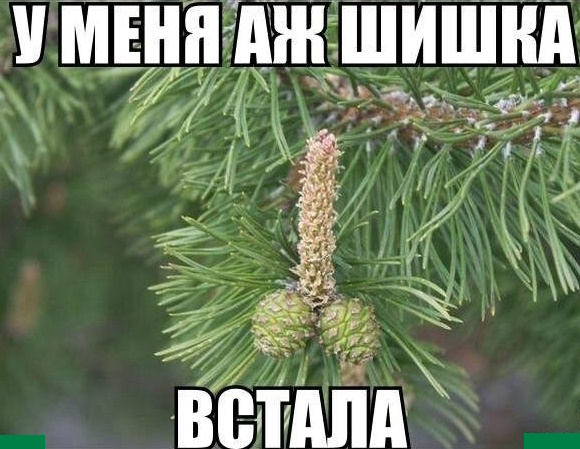 Крепкие орехи #6