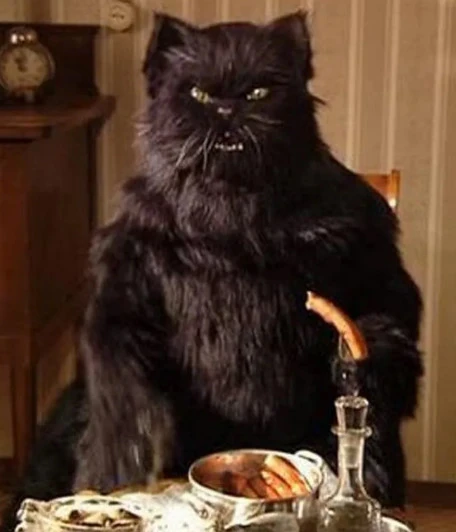 Кортеж ВВ и черная кошка