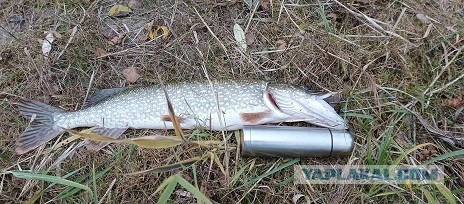 Погода подвела, а может и не погода