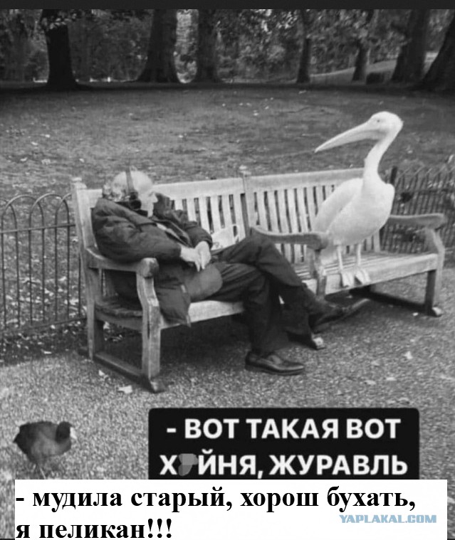 Так себе картинки 27.10.24