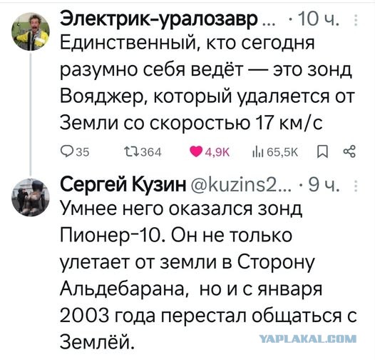 Так себе картинки 21.12.24