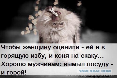 Миссия выполнима