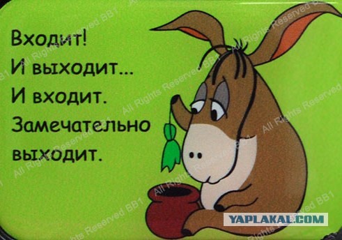Путин подписал закон, исключающий Талибан* из списка запрещённых в России террористических организаций