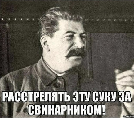 Водитель во Владивостоке устроил «помеху» для скорой с пациентом в критическом состоянии