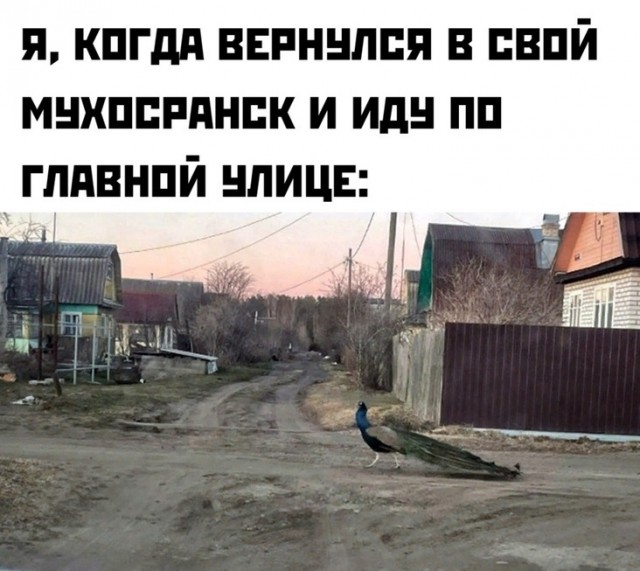 Со мной не все согласны, но я считаю, что муж – тоже человек.