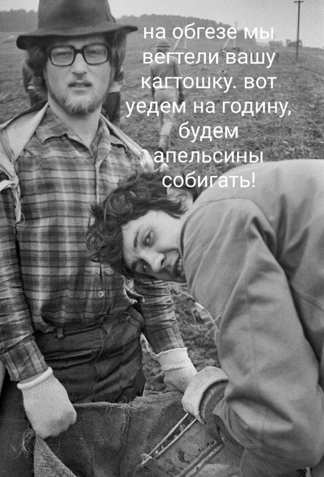 Про картошку