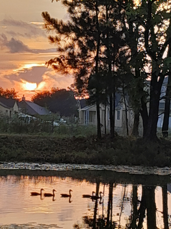 Техас готов к Хэллоуину