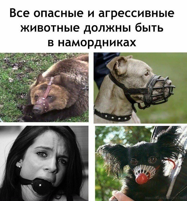 Четверговые картинки