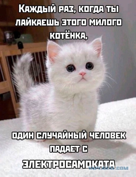 Картинки для деградации 129 (разной степени свежести)