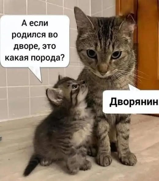 Картинки для деградации 140 (разной степени свежести)