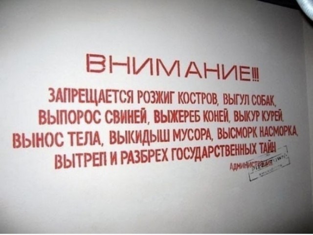 Воскресные картинки