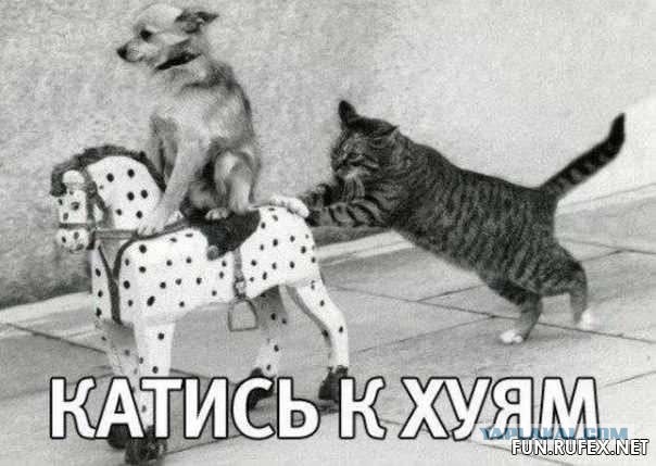 Интересные фотографии 1990 -х 15.03.26