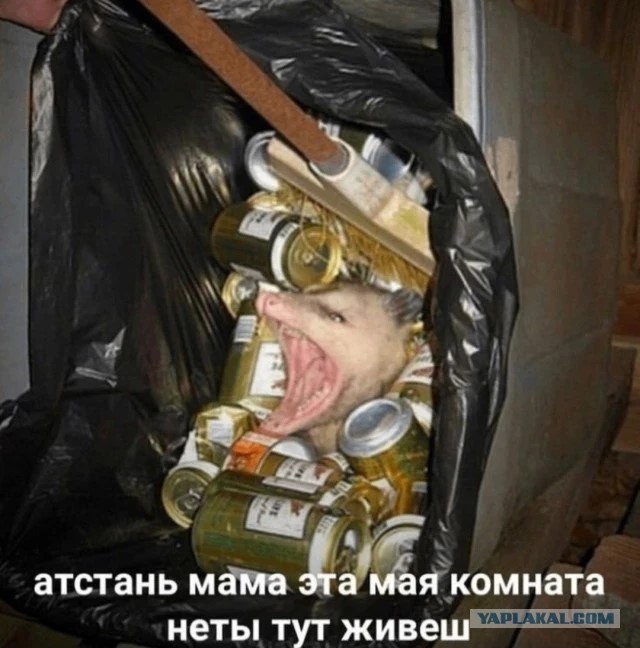 Арбузер