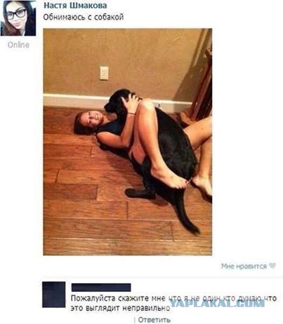 Смешные комментарии из социальных сетей