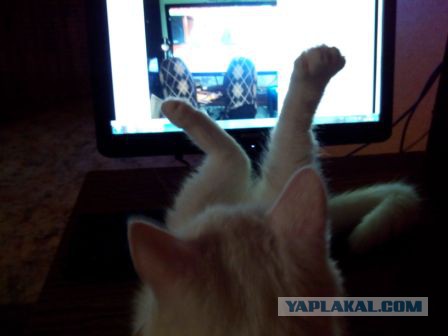 В самолёте вы наблюдаете за пейзажами...