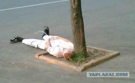 Пьяные, они такие пьяные ...