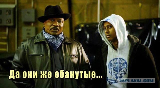 Майдан головного мозга...