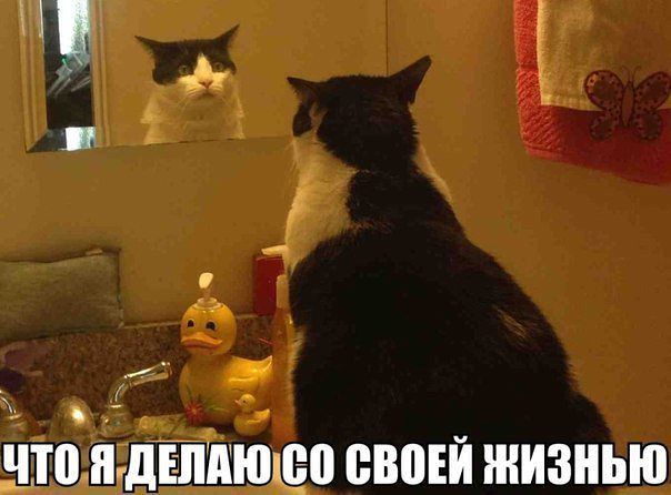 Позитивные картинки и комментарии.