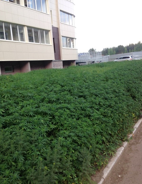 Импровизация, бачата
