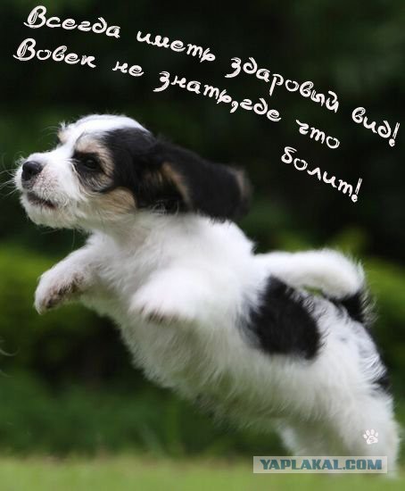 Чёрт, чёрт, чёрт!
