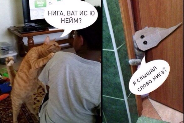 Минутка легкой наркомании