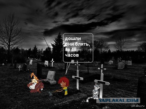 Поляки вояки...