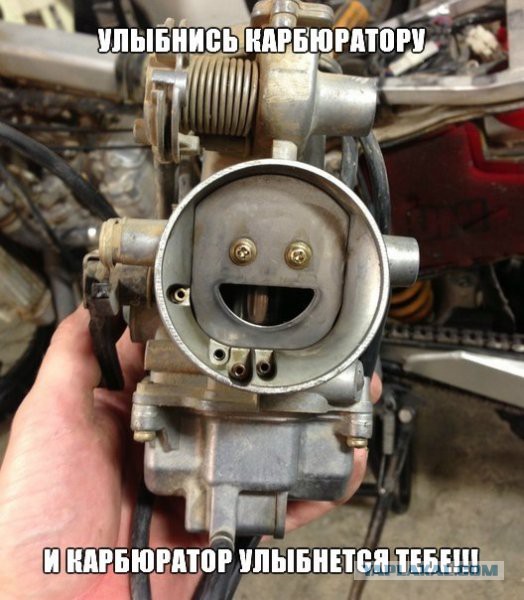Упоротость вокруг нас