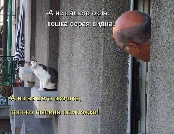 Смешные и не очень картинки из ВК (часть 2)