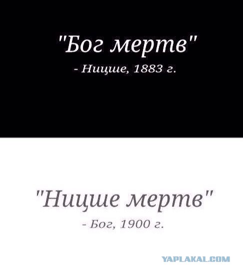 Забавные картинки из сети