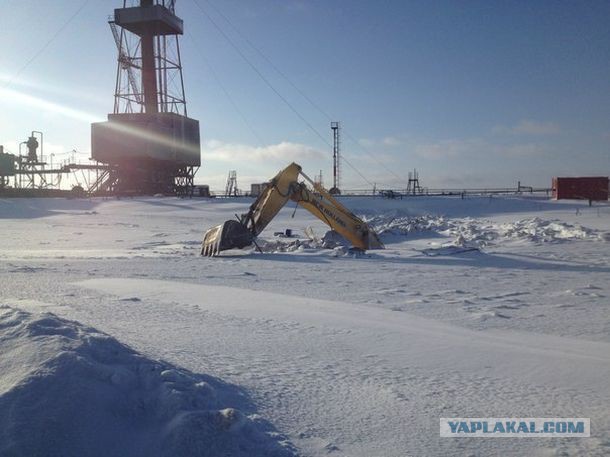 Подборка автоприколов