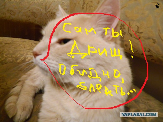 Домашний сацебели