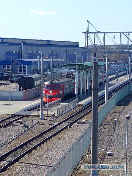 Миграция московского планктона