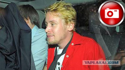 Они выросли.