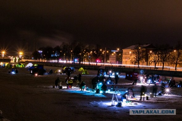 Корюшка зовет! Охота на рыбу-огурец