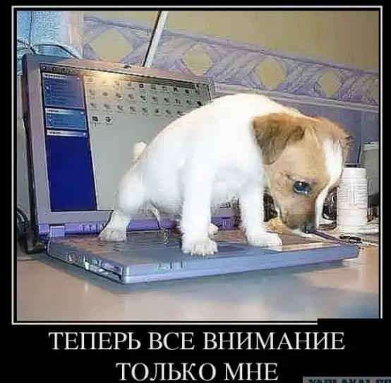 Здравствуйте, я тут человек новый