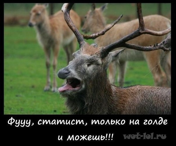 Чуть-чуть танков WoT