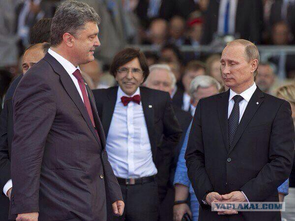 Это неловкое чувство, когда ты мелковат